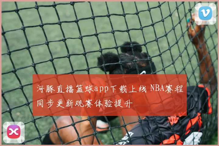 河豚直播篮球app下载上线 NBA赛程同步更新观赛体验提升