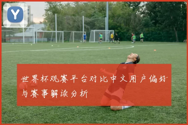世界杯观赛平台对比中文用户偏好与赛事解读分析