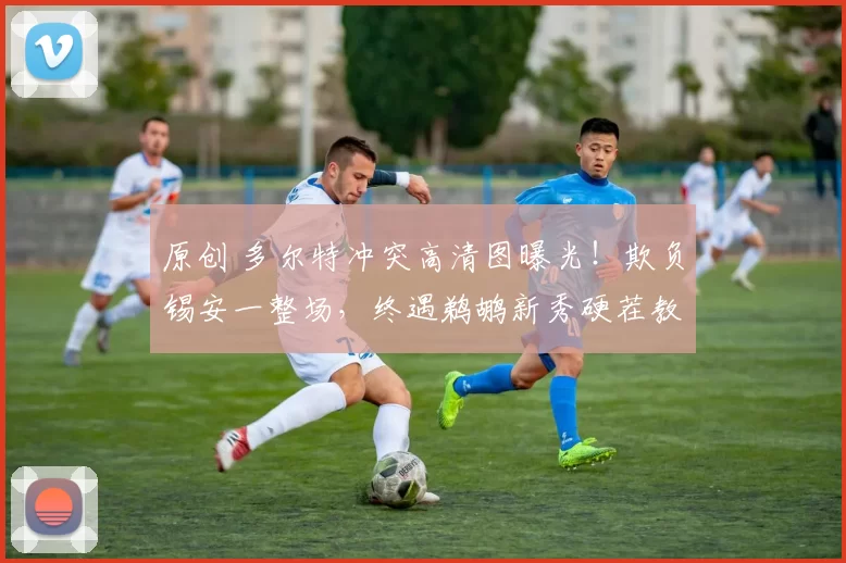 原创 多尔特冲突高清图曝光！欺负锡安一整场，终遇鹈鹕新秀硬茬教做人